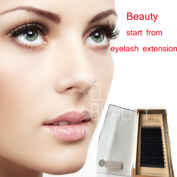 Best seller low price volume Korean silk mink eyelash extensions ES26